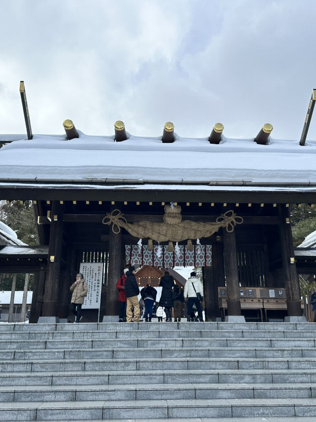 走進北國神域！北海道神宮四季皆美，冬雪中的參拜體驗絕對神聖又浪漫⛩️❄️🌸 