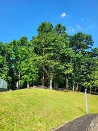 The blooming flora of Bukit Batok Town Park