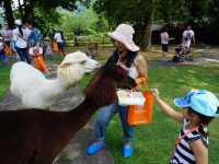 Alpaca Hill อ. สวนผึ้ง จ. ราชบุรี