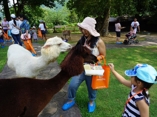 Alpaca Hill อ. สวนผึ้ง จ. ราชบุรี