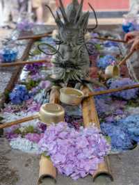  🌸茨城｜雨引観音（雨引山 楽法寺）  安産・子育てにご利益あり、四季折々の花々に包まれる参拝と癒しのスポット