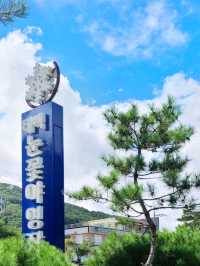 야외수영장이 넘사벽인 🤍태백눈꽃야영장