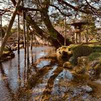 🏯 Kanazawa Castle Summer Survival Guide** *"Where stone walls stay cool and gold leaf shimmers in t