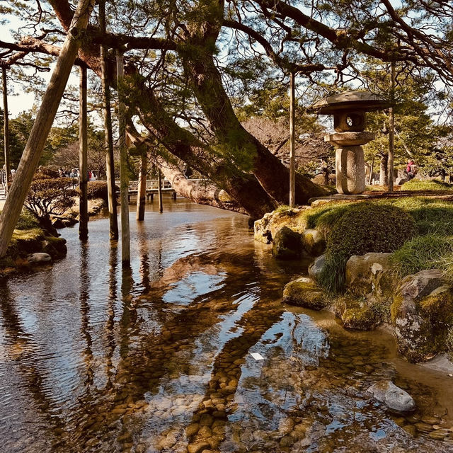 🏯 Kanazawa Castle Summer Survival Guide** *"Where stone walls stay cool and gold leaf shimmers in t