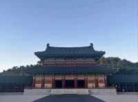 Temples, History, and Good Vibes