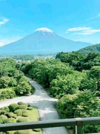 Fuji View