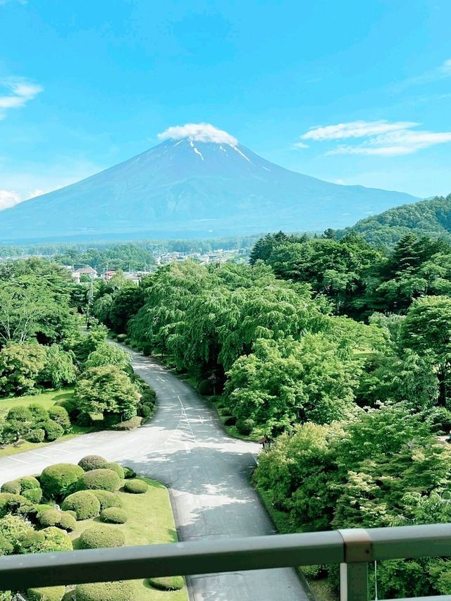 Fuji View