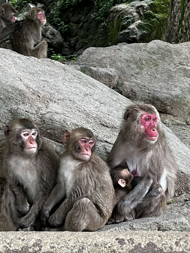 別府の旅　　