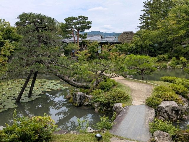 奈良 | 依水園寧樂美術館---三秀亭