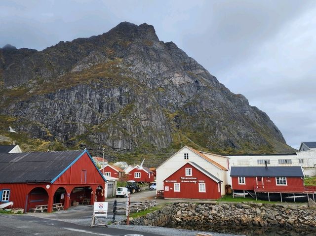 A breathtaking Arctic Escape