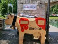 Roaring Splendor: A Day at the Rheinfall