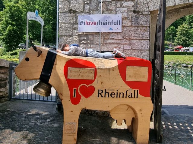 Roaring Splendor: A Day at the Rheinfall