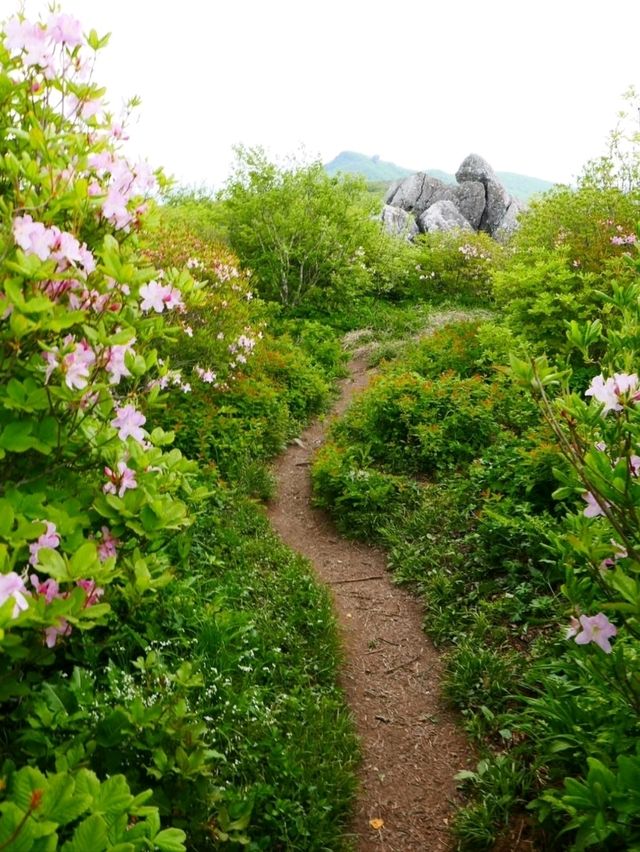 Hiked Gukmangbong Peak