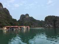 🚢🌿 Sailing Through a Dream: My Halong Bay Cruise Experience