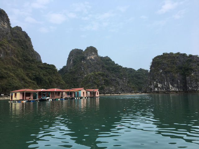 🚢🌿 Sailing Through a Dream: My Halong Bay Cruise Experience