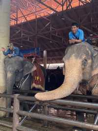 พาทัวร์สวนนงนุช พัทยา ปี 2025