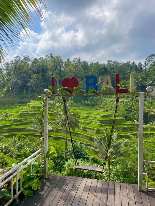 Bali Swing