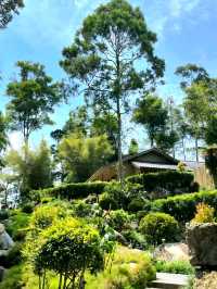 A Touch of Japan in Bukit Tinggi Malaysia