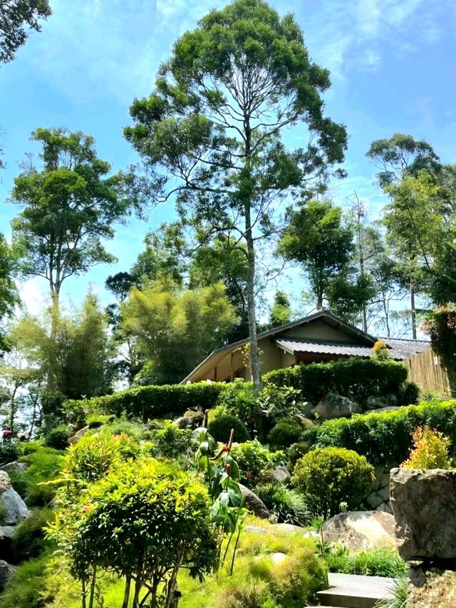 A Touch of Japan in Bukit Tinggi Malaysia