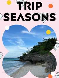 “푸른 바다와 여유의 시간, 세부 3박 4일 여행 가이드🏝️☀️”