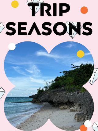 “Blue sea and leisure time, Cebu 3 nights 4 days travel guide🏝️☀️”