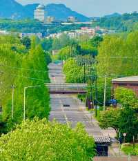 남산 뷰를 볼 수 있는 용산공원 반환부지