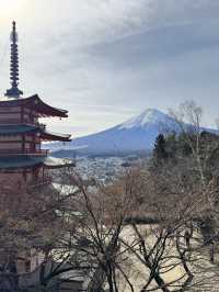 📘《我的富士山絕景之旅》 章節：新倉山淺間公園──我與富士山最接近的一次心跳