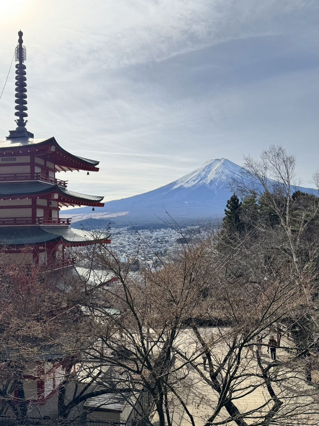 📘《我的富士山絕景之旅》 章節：新倉山淺間公園──我與富士山最接近的一次心跳