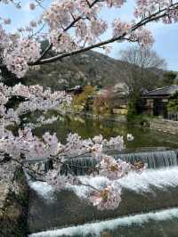 @ ARASHIYAMA IN KYOTO.