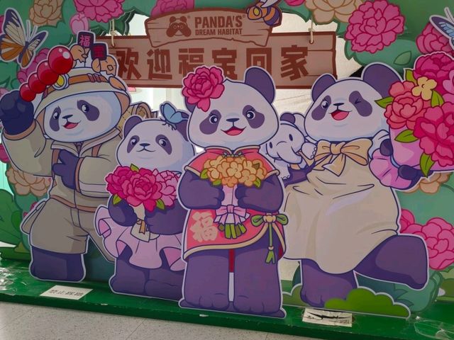 대련 동물원 여름 방문 꿀팁