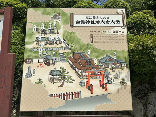 日本關西自駕遊 | 滋賀縣 | 白鬚神社