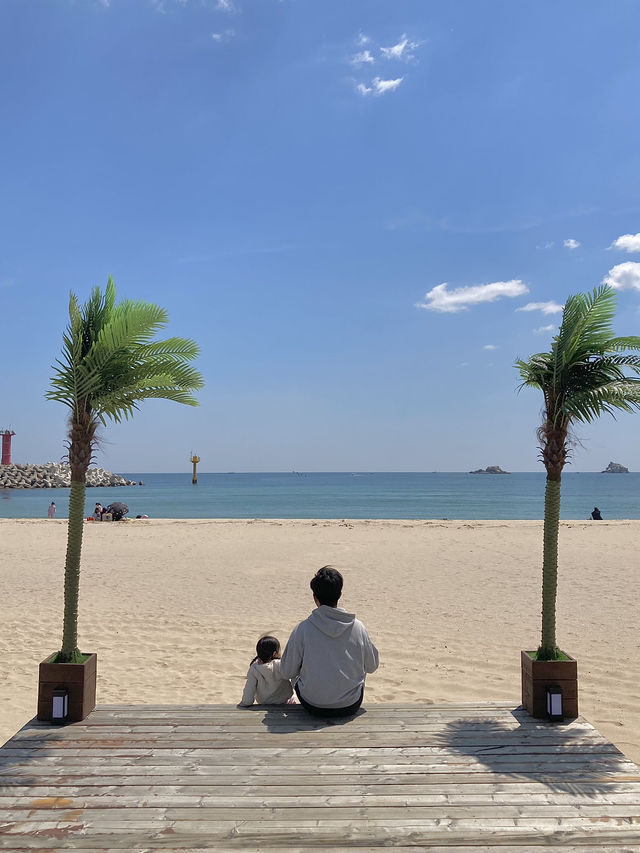 동해 바다 바로 앞🌊 깨끗한 봉수대오토캠핑장