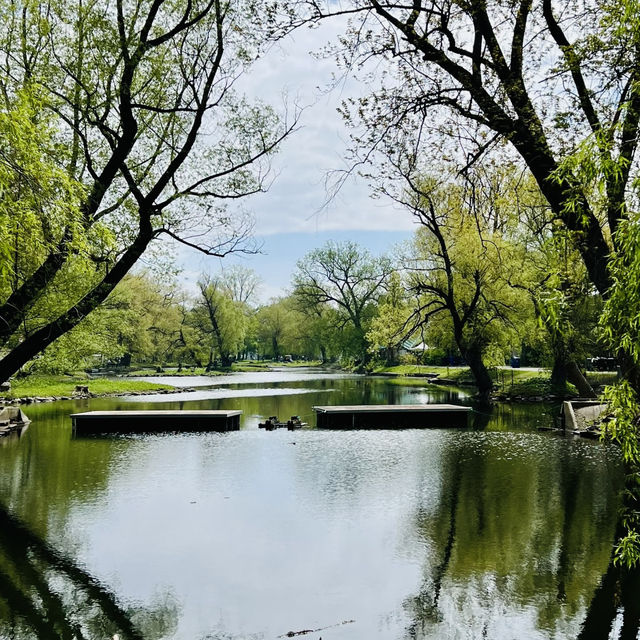 羅馬街公園·美麗綠洲