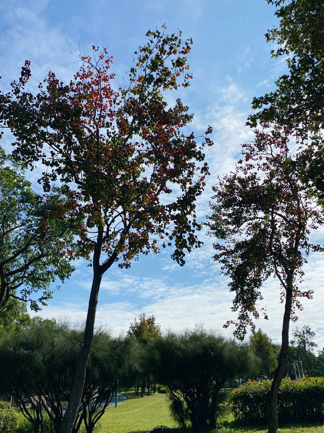 香港｜親子/野餐🧺好去處——佐敦谷公園