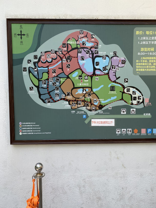比較上海迪士尼，遛娃更值得去的地方- 上海動物園🐯🐼