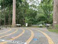 เที่ยวป่าในเมือง สวนรุกขชาติเชียงใหม่