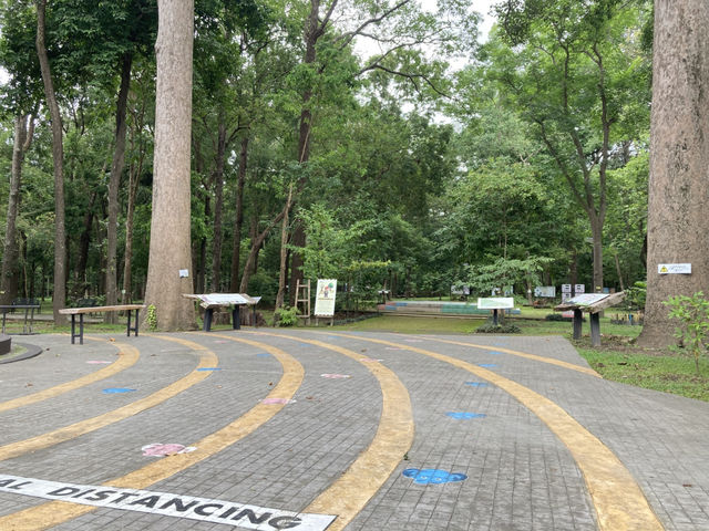 เที่ยวป่าในเมือง สวนรุกขชาติเชียงใหม่