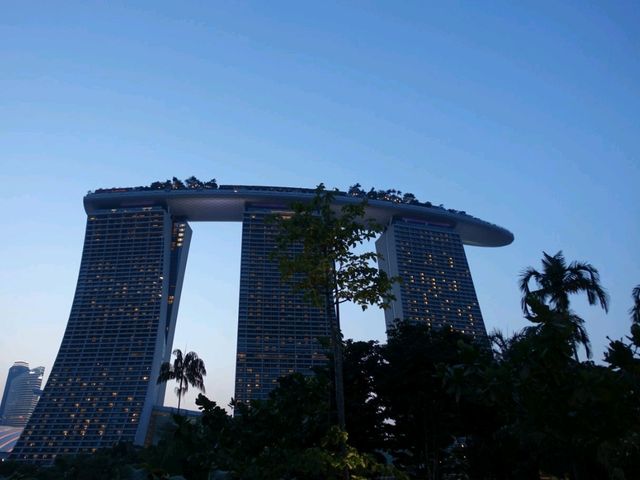 Gardens by the Bay.
