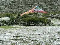 🌈 Kangding’s Muya Holy Land – Where Summer Brings Snow & Rainbows ❄️🐾