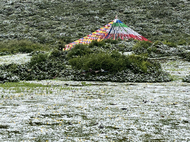 🌈 Kangding’s Muya Holy Land – Where Summer Brings Snow & Rainbows ❄️🐾