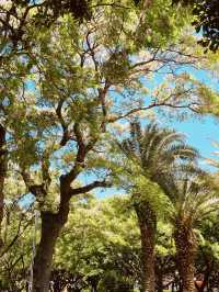 A Family-Friendly Local Park for Casual Outings