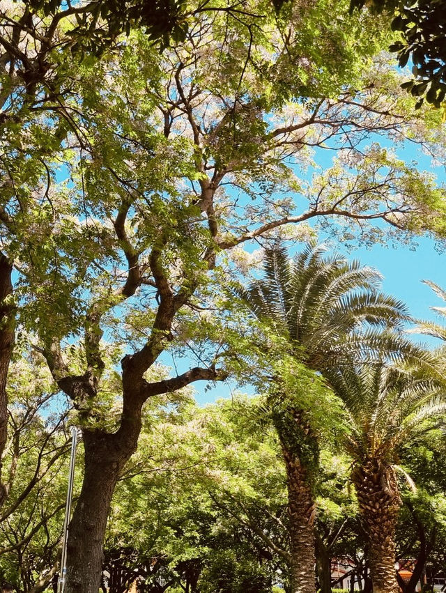 A Family-Friendly Local Park for Casual Outings