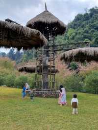ดอกซารุระเมืองไทย ดอยอ่างขาง จ.เชียงใหม่