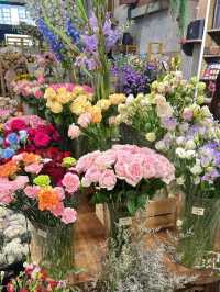 Blooms & Beauty in the Heart of KL: Discover Dayang Rose 🌹