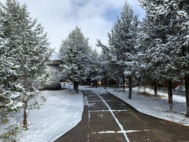 Snow Season in Yunnan  