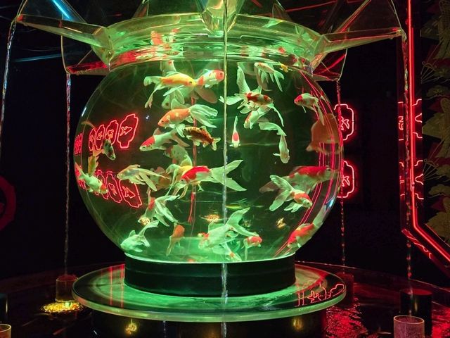 水族館裡的小確幸