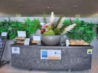 北海道真駒內靈園：薰衣草環繞的巨佛之境