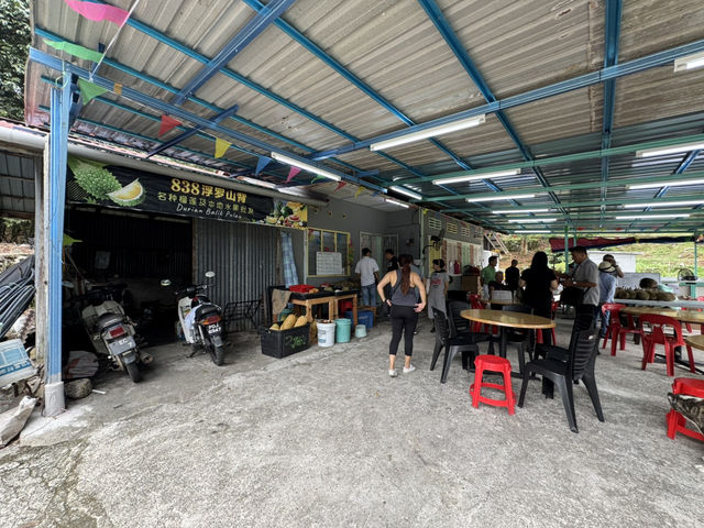 🌳 Hidden Gem in the Hills: 838 Durian Balik Pulau