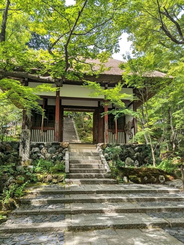 Kyoto’s Quiet Corner: Jojakko-ji Reflections