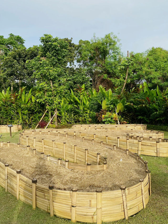 Art Village in Nuaanu